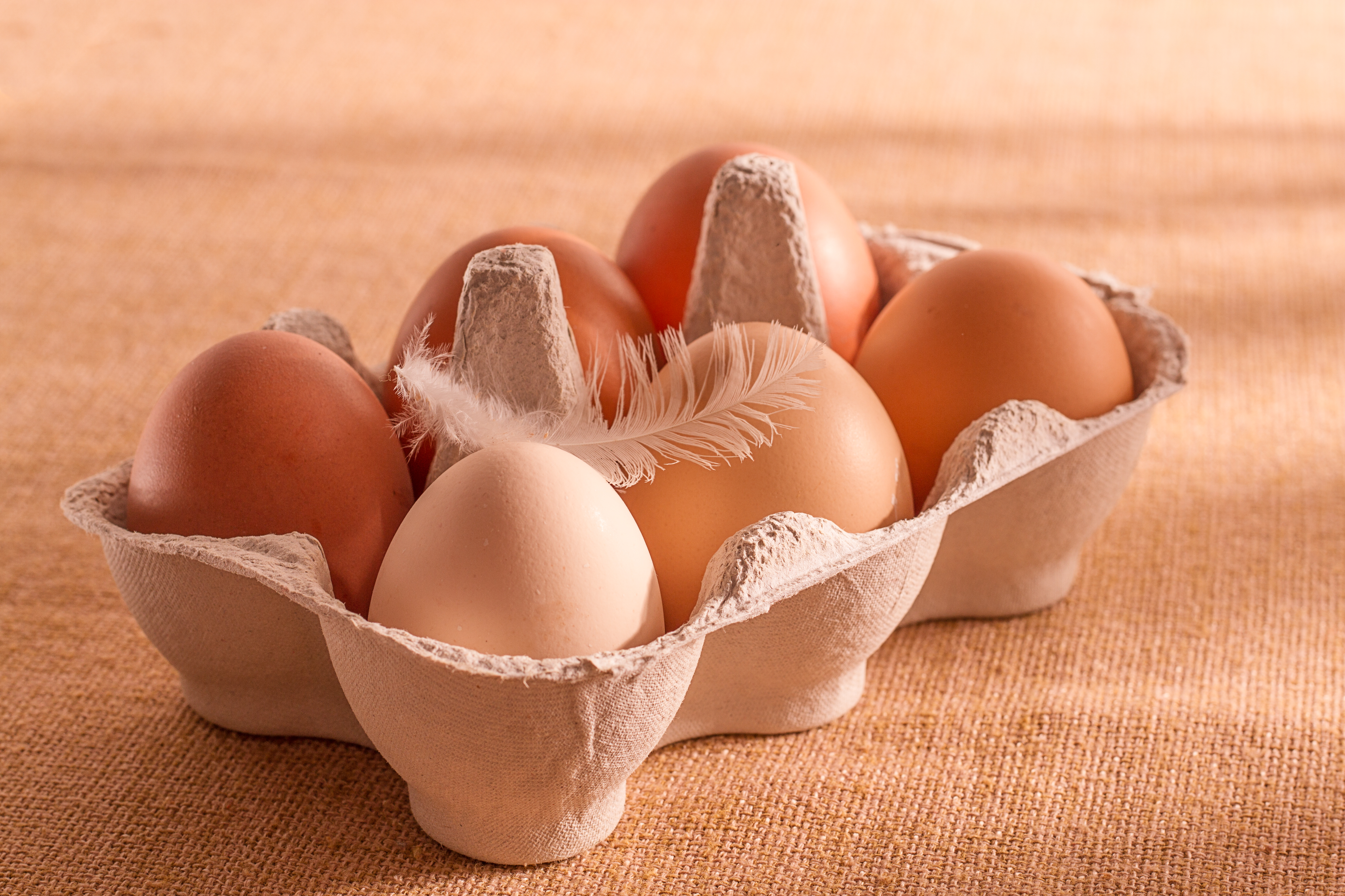 Organic Eggs